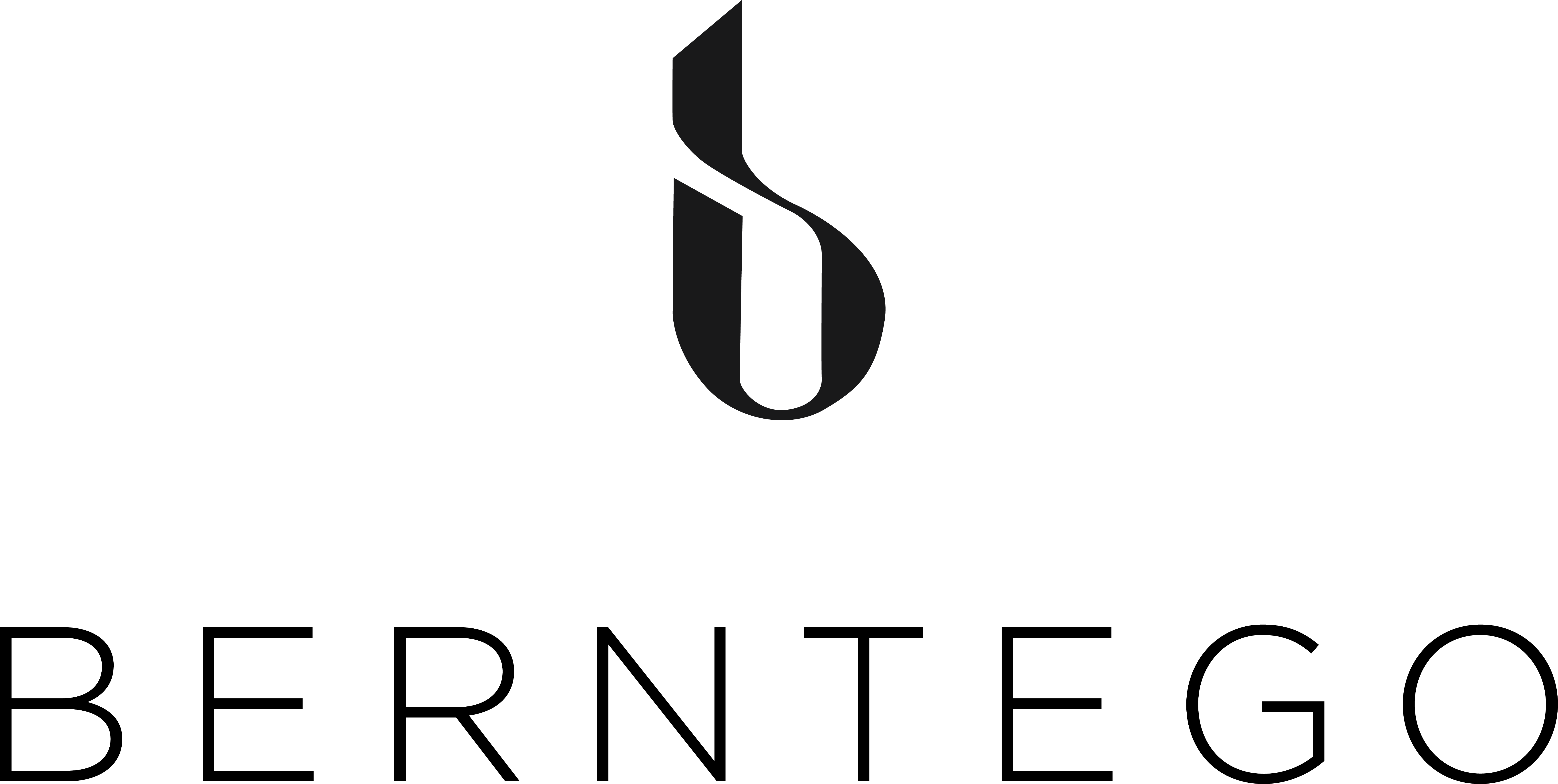 Berntego Logo Black 1